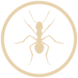 Icon-Ant